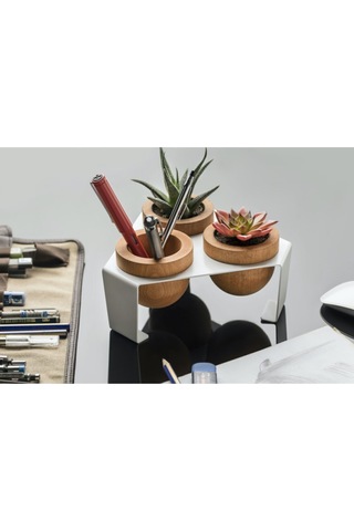 Halohope Metal Stantlı 3'lü Skulent Saksısı Beyaz Saksılık