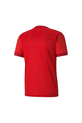 Puma 704171 Teamgoal 23 Jersey Çok Renkli