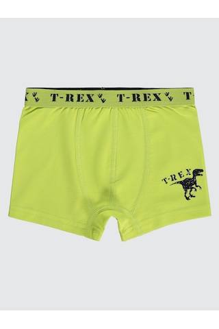 Civil Boys Erkek Çocuk 3'lü Boxer Set 2-10 Yaş Yeşil