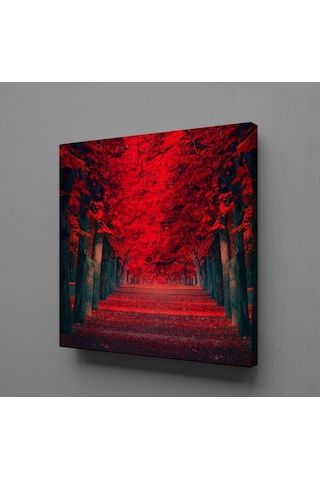 Kırmızı Ağaçlı Yol Kanvas Tablo 100x100cm