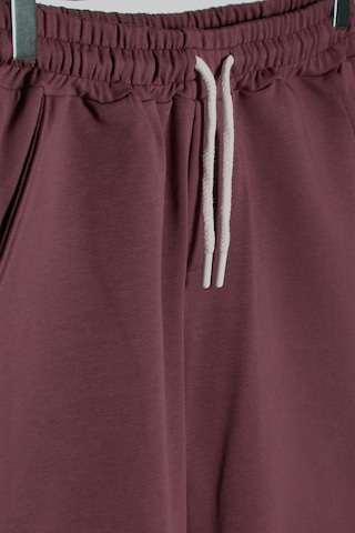 Terapi Men Erkek Bordo Basic Regular Fit Şort & Bermuda Bordo