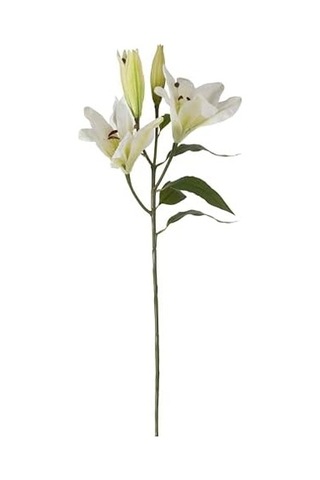 Concept Zarif Zambak Çiçeği Beyaz 75cm