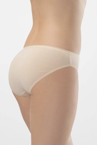 Türen Kadın Biyeli Dikişsiz 2'li Pamuklu Bikini Külot 001