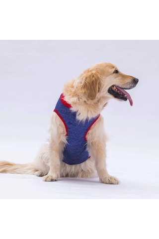 Pawstar Lacivert Summer Time Büyük Köpek Tişörtü Köpek Kıyafeti