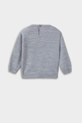 Defacto Erkek Bebek Bisiklet Yaka Araba Baskılı Kazak F2586a525wngr52 Gri