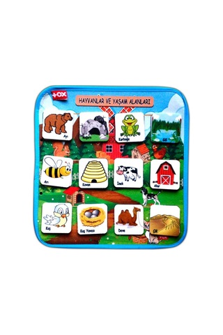 Tox Hayvanlar ve Yaşam Alanları Keçe Cırtlı Aktivite Sayfası