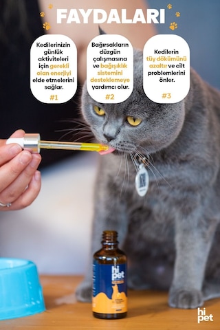 HiPet Kediler İçin Vitamin B 50 ML
