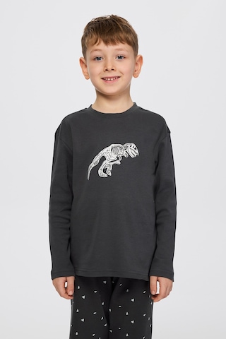 Panço Erkek Çocuk Dinazor Baskılı Pijama Takımı Antrasit
