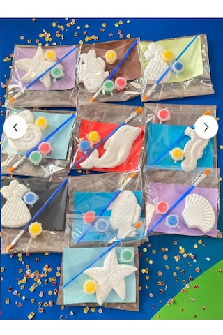 Deniz Temalı Taş Boyama Seti Karışık 10 Adet Xxl Boy/ Doğumgünü, Karne Hediyesi, Okul Etkinlik, Workshop