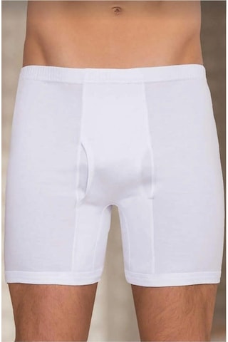 Berrak 1055 Erkek Paçalı Külot 10 Adet 001