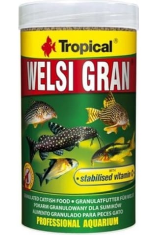 Tropical Welsi Gan 100gr Kovadan Bölme Yem