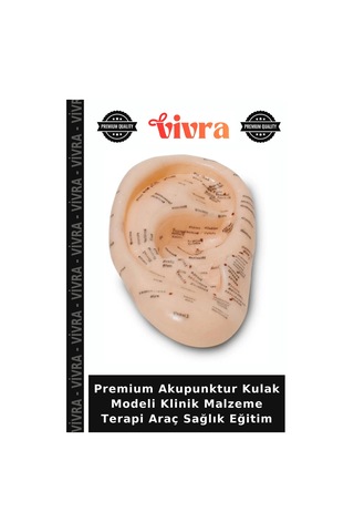 Premium Akupunktur Kulak Modeli Klinik Malzeme Terapi Araç Sağlık Eğitim