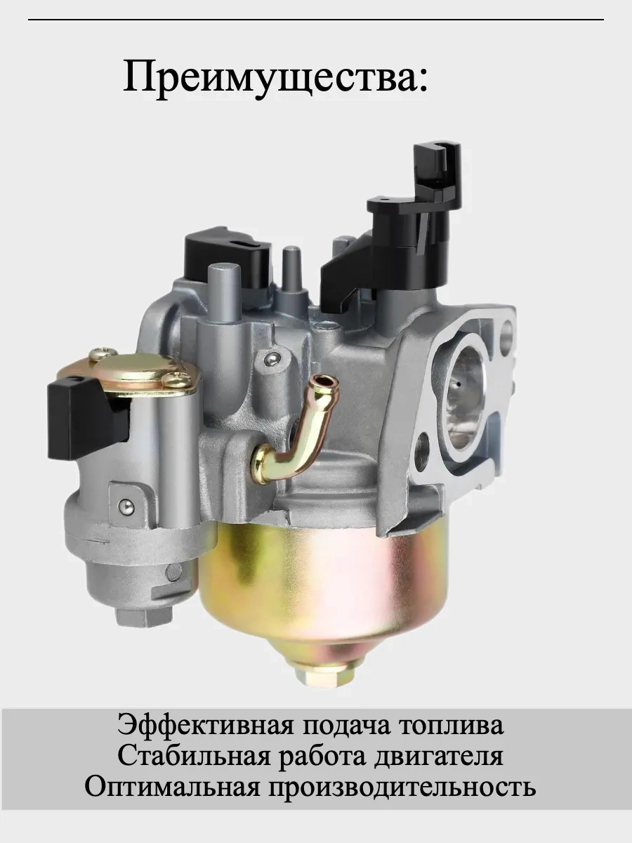 Gamingo Motobloklar, Motorlu Pompalar İçin Karbüratör, 168f 74520111