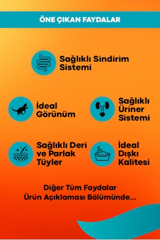 Tavuklu Yetişkin Kedi Maması Maintenance - 2kg