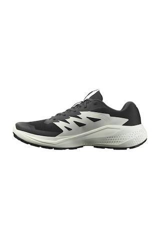 Salomon Alphaglide Erkek Siyah Koşu Ayakkabısı Siyah