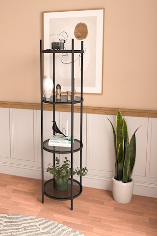 Vogue Kitaplık Dekoratif Aksesuar Rafı Siyah Füme Camlı Mutfak Rafı