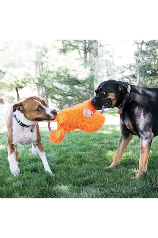 Kong Tuggz Maymun Köpek Oyuncağı, Xl,