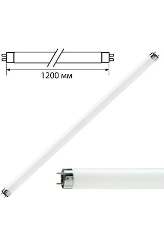Philips 36W Floresan Lamba Snow White 120 CM