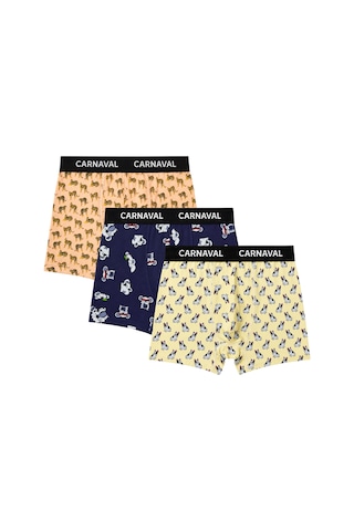 Carnaval Socks Carnaval Animal Crew Erkek Boxer 3'lü Set Çoklu