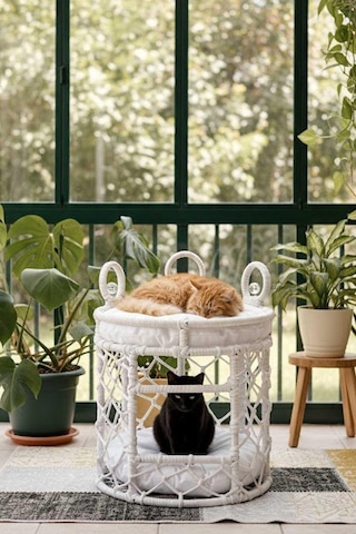 Reyo Lüxperi Kristal Taşlı İki Katlı Kedi Yatağı, Kedi Ranzası Beyaz