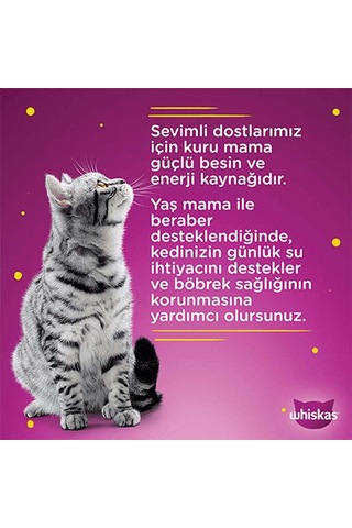 Tavuklu Poşet Kedi Yaş Mama 85 G Tekli Paket