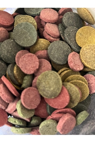 Vatoz Ve Çöpçü Balıkları İçin Karışık Dip Yem Tabletleri 40 Gram
