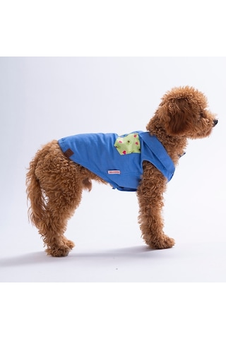 Avo Bliss Denim Avokado Desenli Kot Kedi Köpek Gömleği-kedi Köpek Kıyafeti-kedi Gömlek-köpek Gömlek