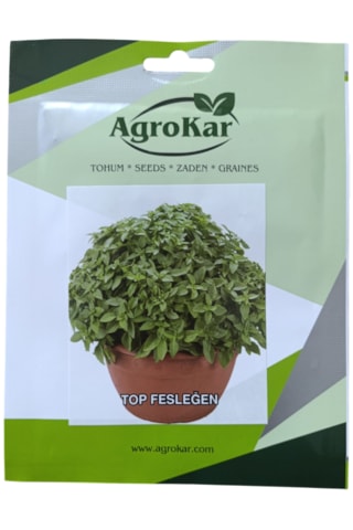Top Fesleğen Tohumu 1 Gr 1 Paket