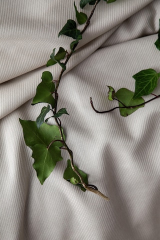 Tek Kişilik Tanya Bej Nevresimli Bambu Pike Takımı Bej