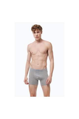 Malabadi Erkek 3 Lü Gri Premium Collection Modal Uzun Boxer 3m250 Gri