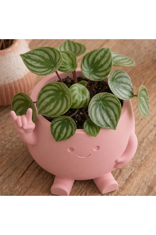 Vaveni 3d Baskı Smiley Face Planter - Gülümseyen Karakterli Saksı-pembe Arz
