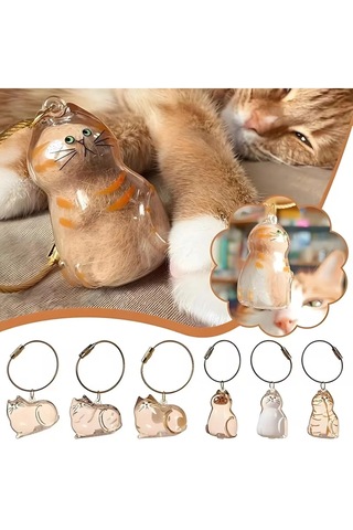 Şeffaf Kedi Tüyü Saklama Kapsülü Kedi Tüyü Anı Hatıra Anahtarlığı Aksesuar