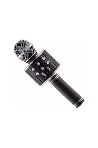 Wster Ws-858 Karaoke Mikrofon Bluetooth Hoparlör Aux Usb Mikro Sd Kart Girişli Çok Renkli