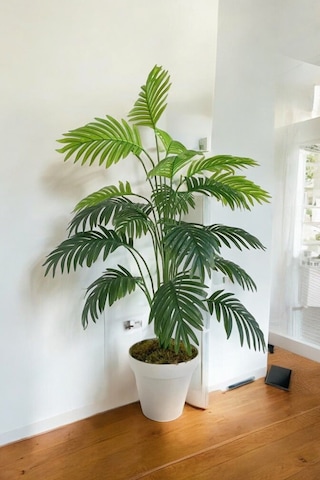 Yapay 18 Dallı Areka Ağacı 80 Cm Palmiye 1.kalite Islak Doku Yeşil