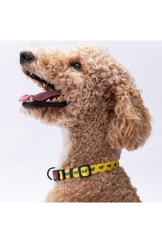 Cactus Kaktüs Desenli Köpek Boyun Tasması Ayarlanabilir Köpek Tasması M Size 32-48cm Boyun Aralığı Sarı