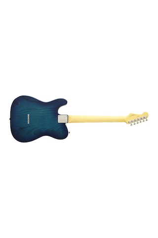Fujigen Telecaster Elektro Gitar Nte100mahsbb