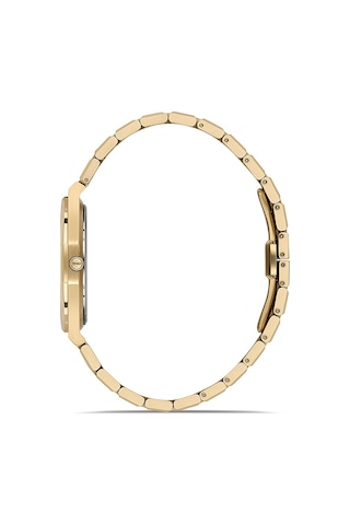 Hislon Men's Classic Cl219g-04sg Gold