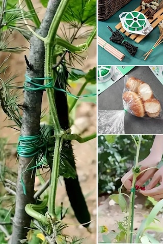 100 Metre Kendiliğinden Kesici Bıçaklı Bitki Saksı Kablo Sabitleme Teli 100 Metre Pratik Sera Malzemesi Çok Amaçlı Sabitleyici