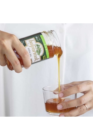 Balparmak Çam Balı 460 G