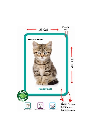 Dıy Toy Eğitici Kartlar İlk 100 Sözcük