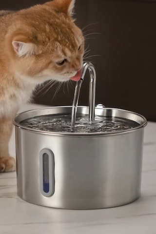 Su Seviyesi Göstergeli 2.2 L Paslanmaz Çelik Kedi Köpek Için Su Pınarı Su Çeşmesi Su Sebili S12