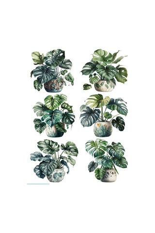 Brightnest Duvar İçin İç Mekan Monstruos Çıkartmaları 348225319 Yeşil