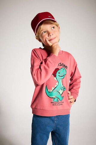 Defacto Erkek Bebek Bisiklet Yaka Dinozor Baskılı İçi Yumuşak Tüylü Sweatshirt F4531a525aubr116 Bordo
