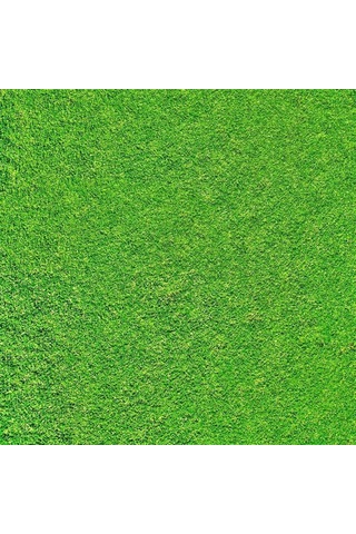 Açık Yeşil Mimari Maketler İçin Hazır Çim Kaplama, 33x41 Cm-33533