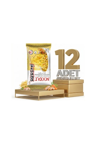 Dudomi Tavuk Çeşnili Noodle 12x70 Gr