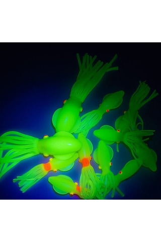 Solid Squid 7cm 6pack