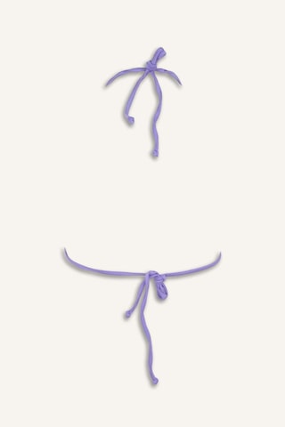 Defacto Regular Fıt Üçgen Bikini Üstü T3666az26smpr452 Mor-pr452