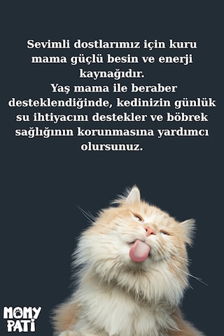 Tavuklu Konserve Kedi Maması 400 Gr X 12 Adet Yetişkin Kediler İçin