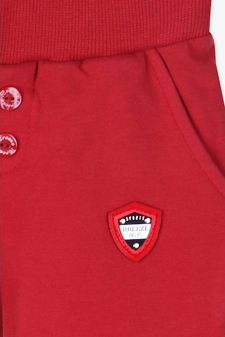 Breeze Erkek Bebek Eşofman Altı Armalı Basic Kiremit (9 Ay-2 Yaş)
