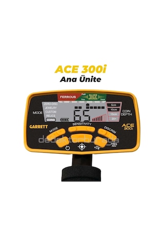 Garrett Ace300i